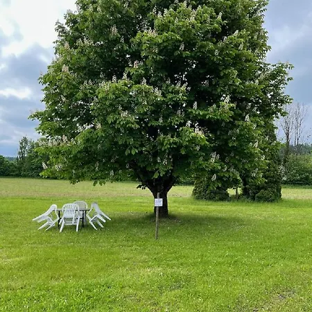 Apartment Antonie Tettnang