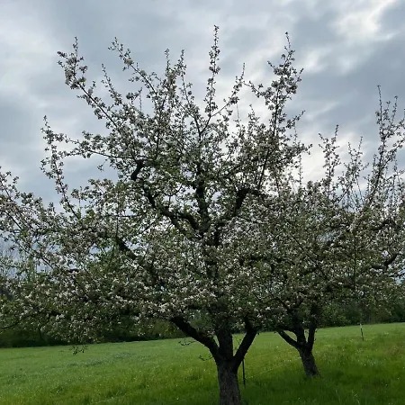 Hof Rundel