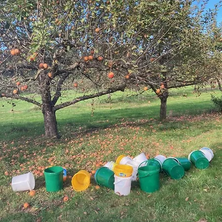 Appartamento Antonie Tettnang