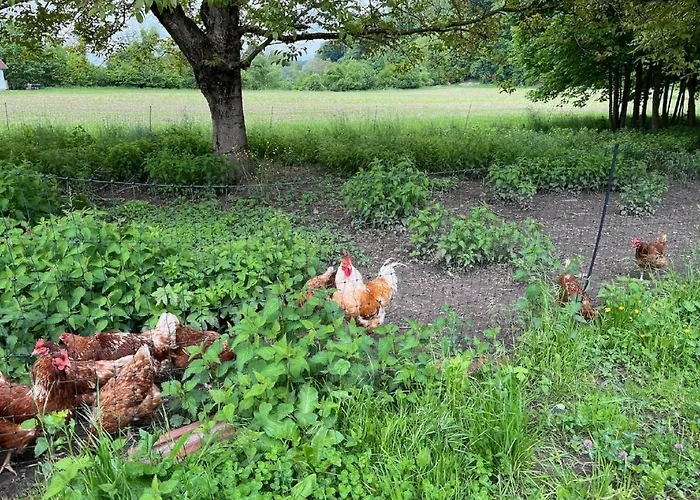 Antonie Appartamento