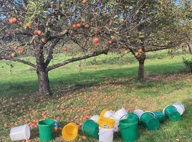 Appartamento Antonie Tettnang